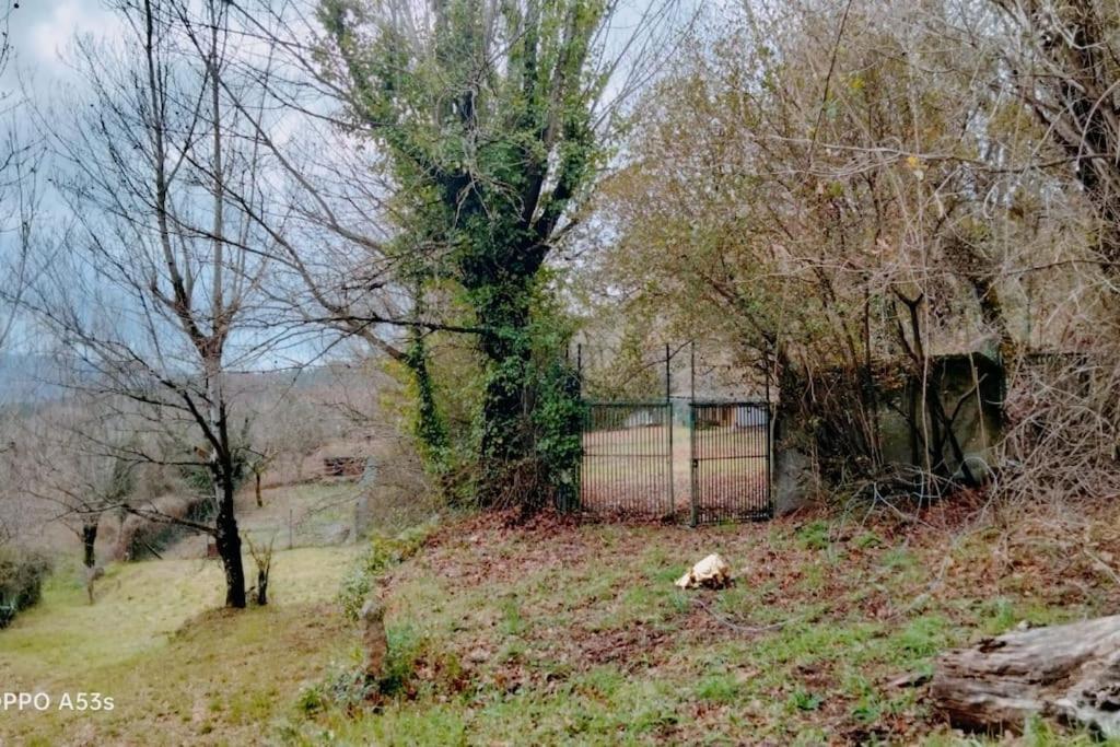 Confort, Fun And Leisure In Douro Rural Space Sande  Exterior foto
