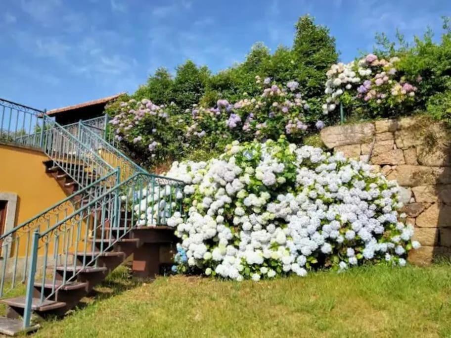 Confort, Fun And Leisure In Douro Rural Space Sande  Exterior foto